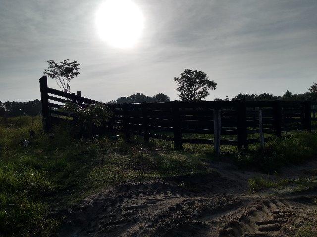 51 alqueires (250 hectares) com 30 alqueires de pasto por 850 mil reais no Pará - Foto 7