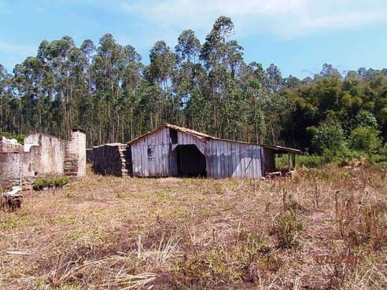 Chácara c/5,1 ha, Bom Jardim - Montenegro - 36 - Foto 5