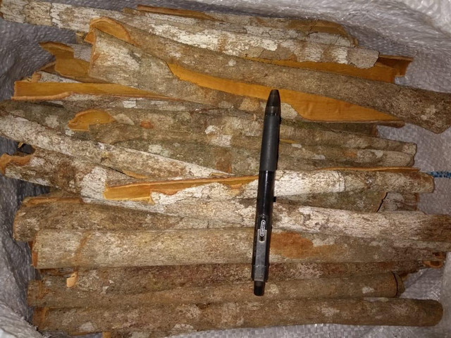 Canela em pó - Cinnamomum - Foto 2