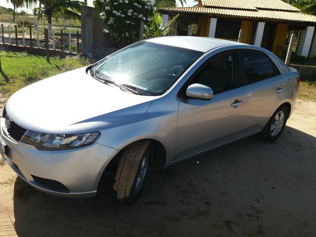 Cerato particular 99915-3870