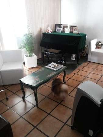 Apartamento à venda, 3 quartos, 1 vaga, Caminho das Árvores - Salvador/BA - Foto 4