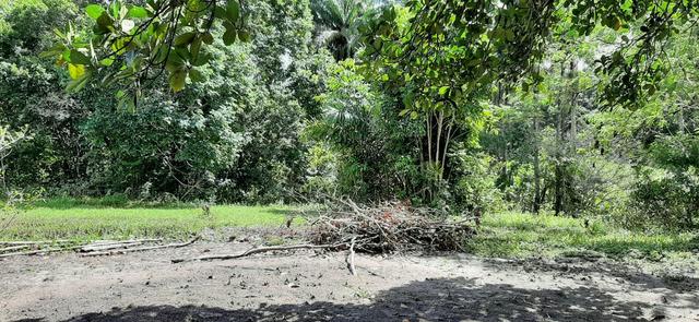 Granja proximo ao condominio riserva alhandra - Foto 3