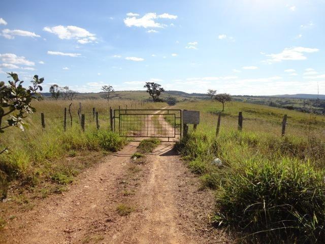Fazenda Escriturada 90 Hect as Margens do Rio Areia Localizado Santo Antônio do Descoberto