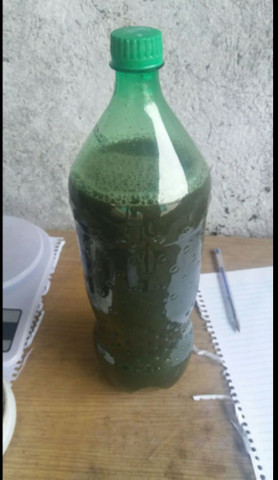 Banho de defesa e proteção