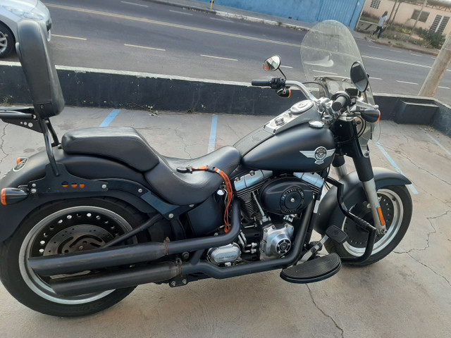 harley davidson fat bob olx