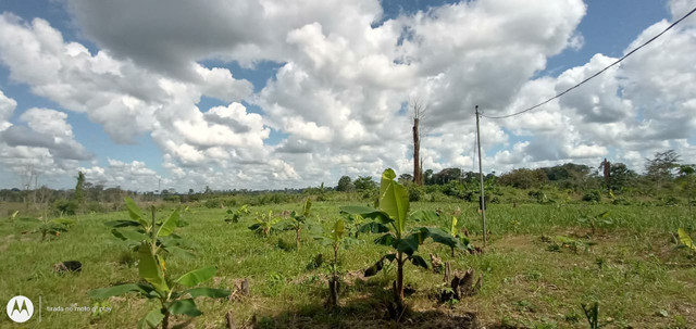 Linda área de terra - Foto 2