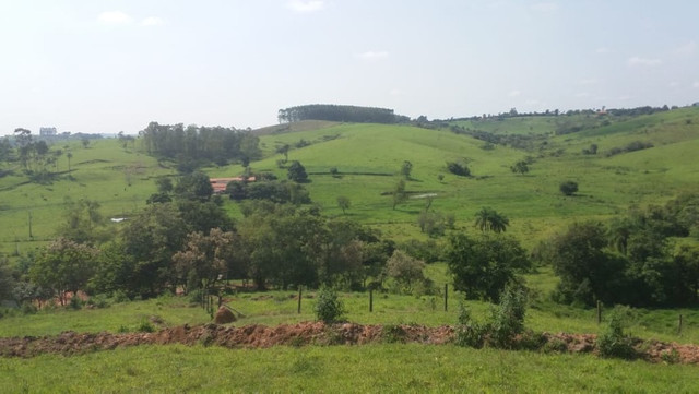 Vendo Excelente Sitio em Torre de Pedra ao lado Fazenda Sao Jorge - Foto 15