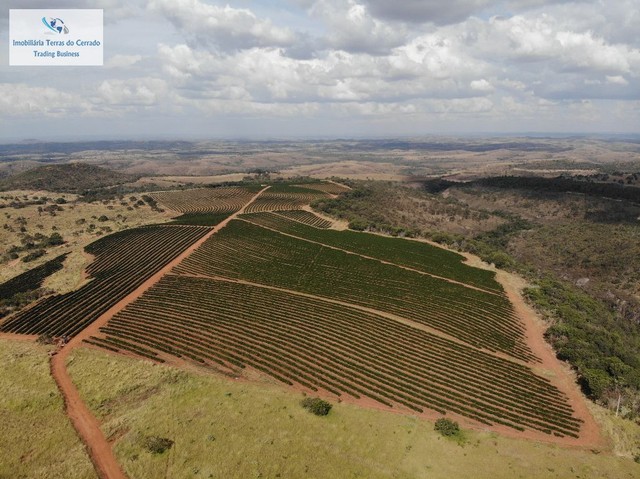 FAZENDA COM 1670HEC PRA CAFE E GADO, RICA EM AGUA!! - Foto 3
