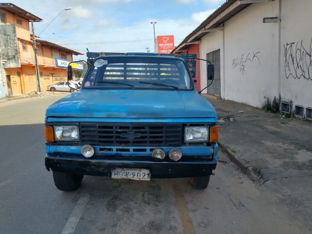 D 40