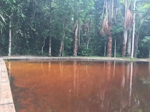 Vivenda das Palmeiras - Disponível para Aluguel - Foto 7