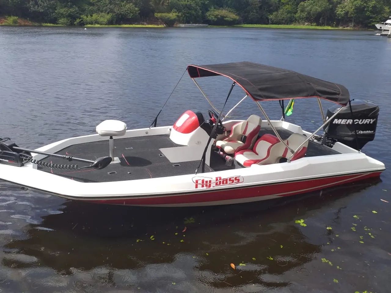 Lancha Bassboat  - Foto 2