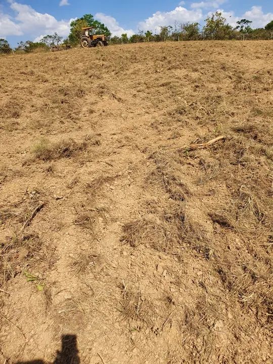 Fazenda dupla aptidão boa pra café ?  - Foto 2