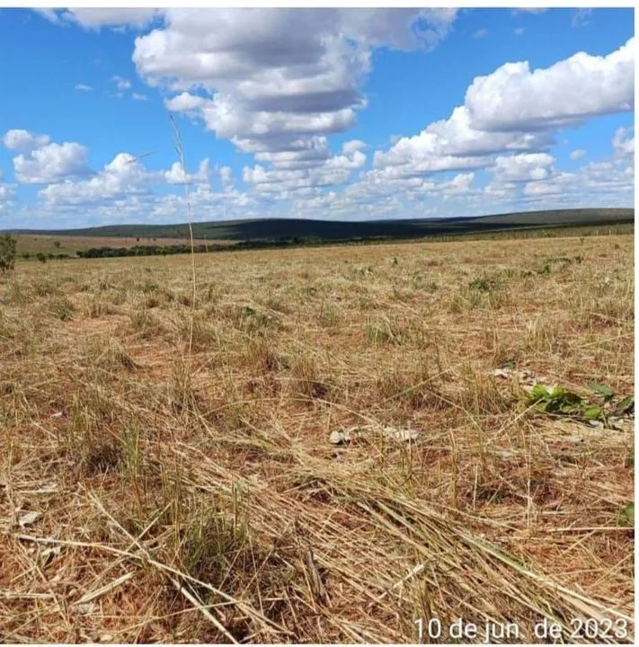 Fazenda Tocantins  pega imóvel  - Foto 3