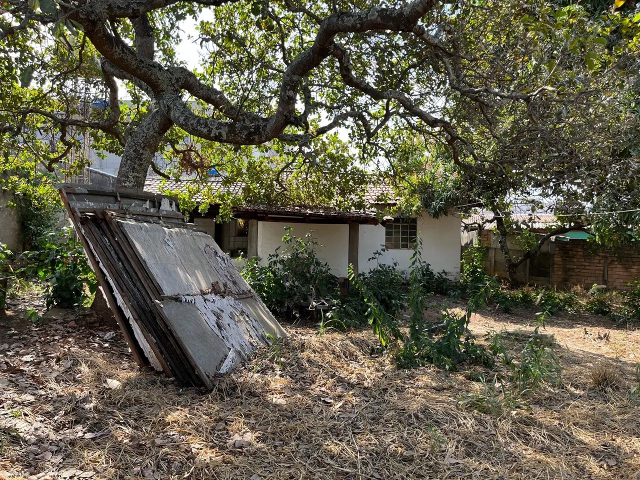 Terreno de 584 metros no setor Pedro Ludovico . - Foto 4
