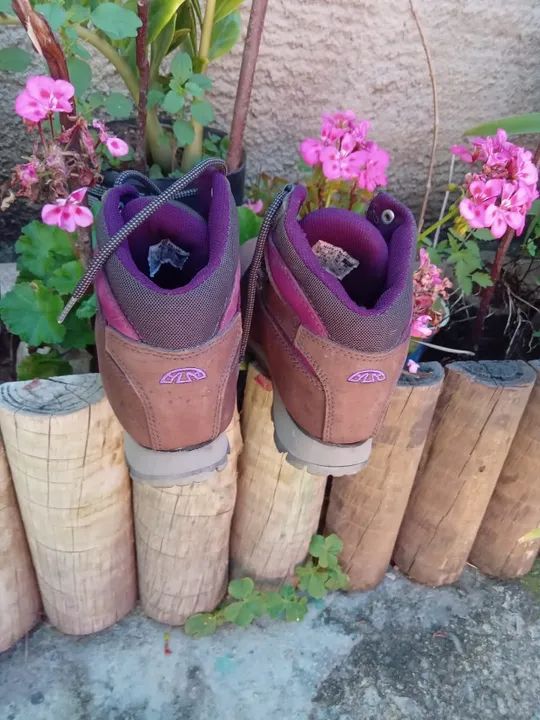 Bota Bull Terrier  - Foto 2