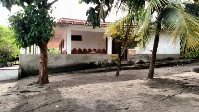 Granja Punaú, 6.5 Hectares, Completa, 1000 Pés de Coqueiro, 2500 Pés de Caju, Rio Pereni