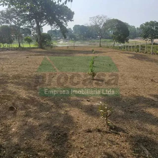 Vende-se terreno / lago do Macurany, Parintins Amazonas. - Foto 3