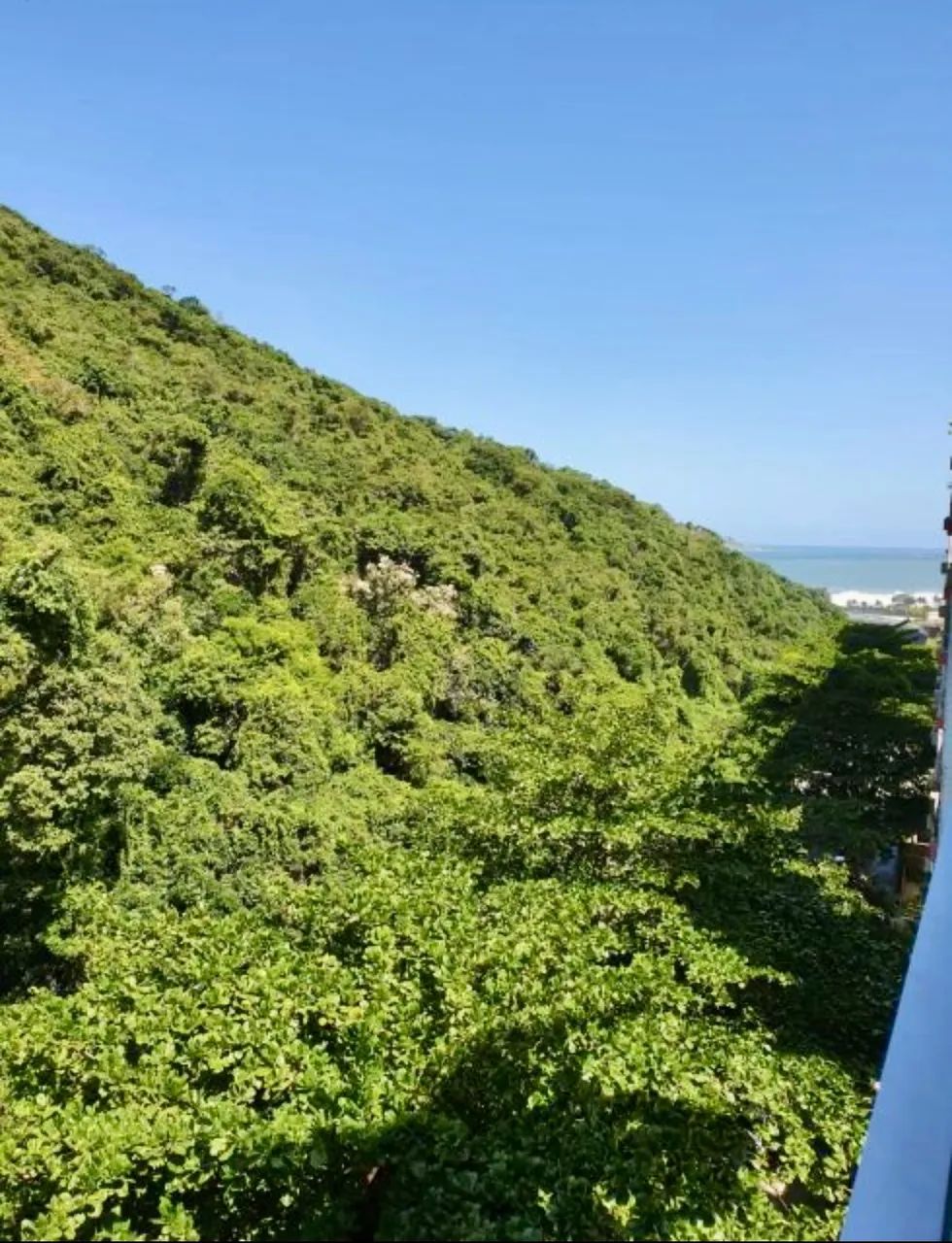 Excelente apartamento 2 quartos em São Conrado com vista mar e verde
