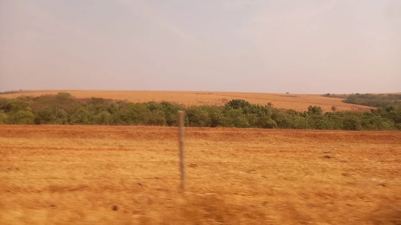 Fazenda próximo Uberlândia 1000 hectares  - Foto 3