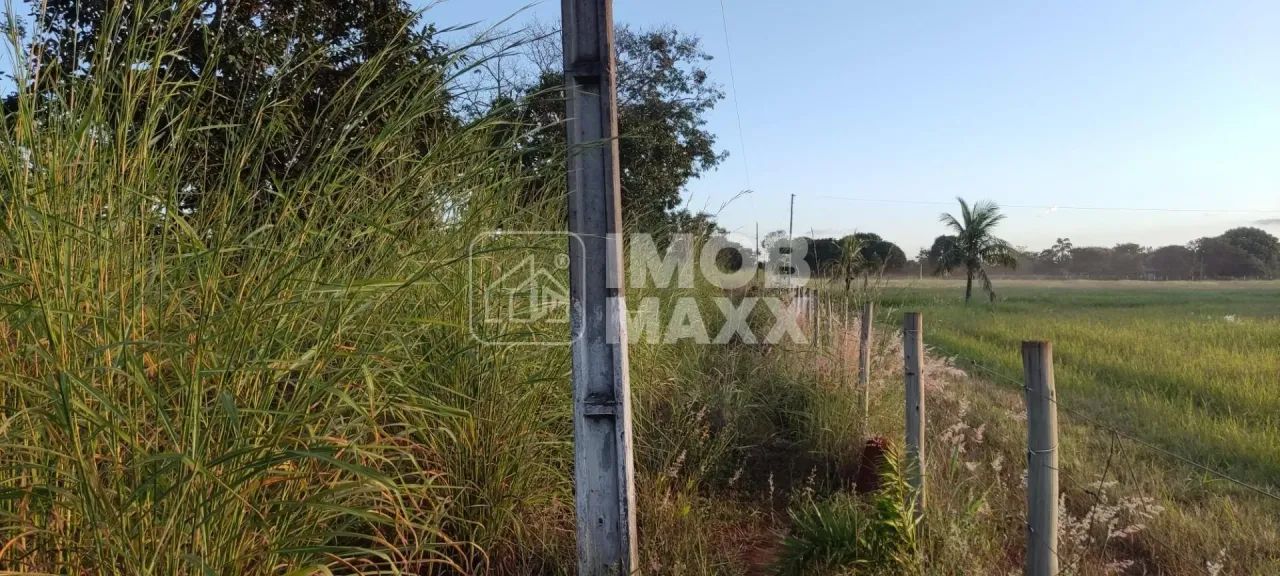 Chácara escriturada DF 140 - 2 ha - Mansões Fazendarias - TORORO - Foto 9