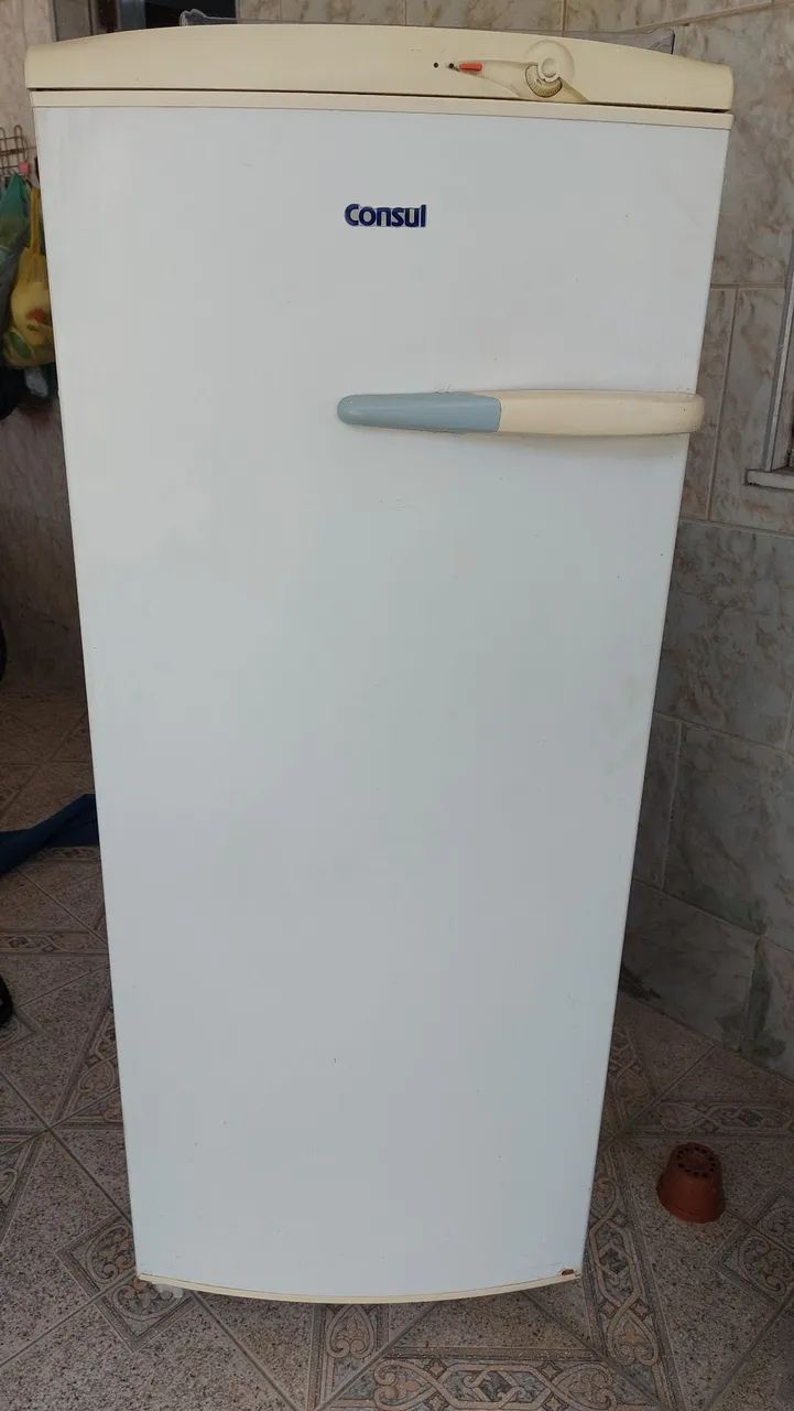 Freezer Vertical Consul