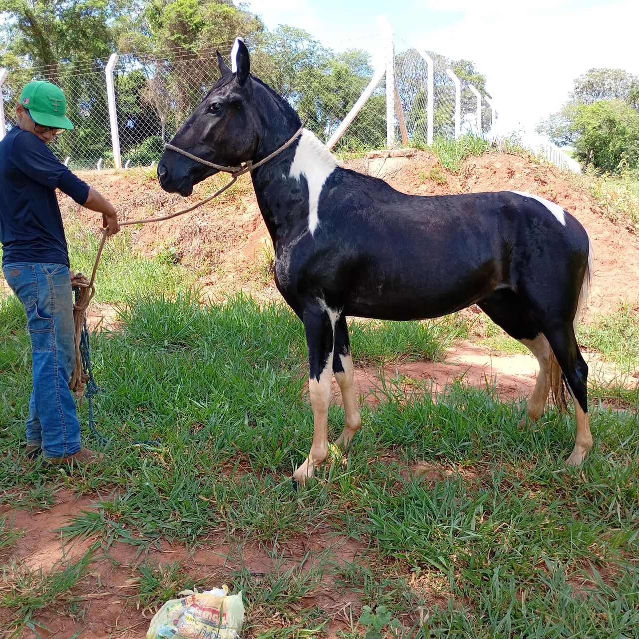 Cavalo manga larga  - Foto 4
