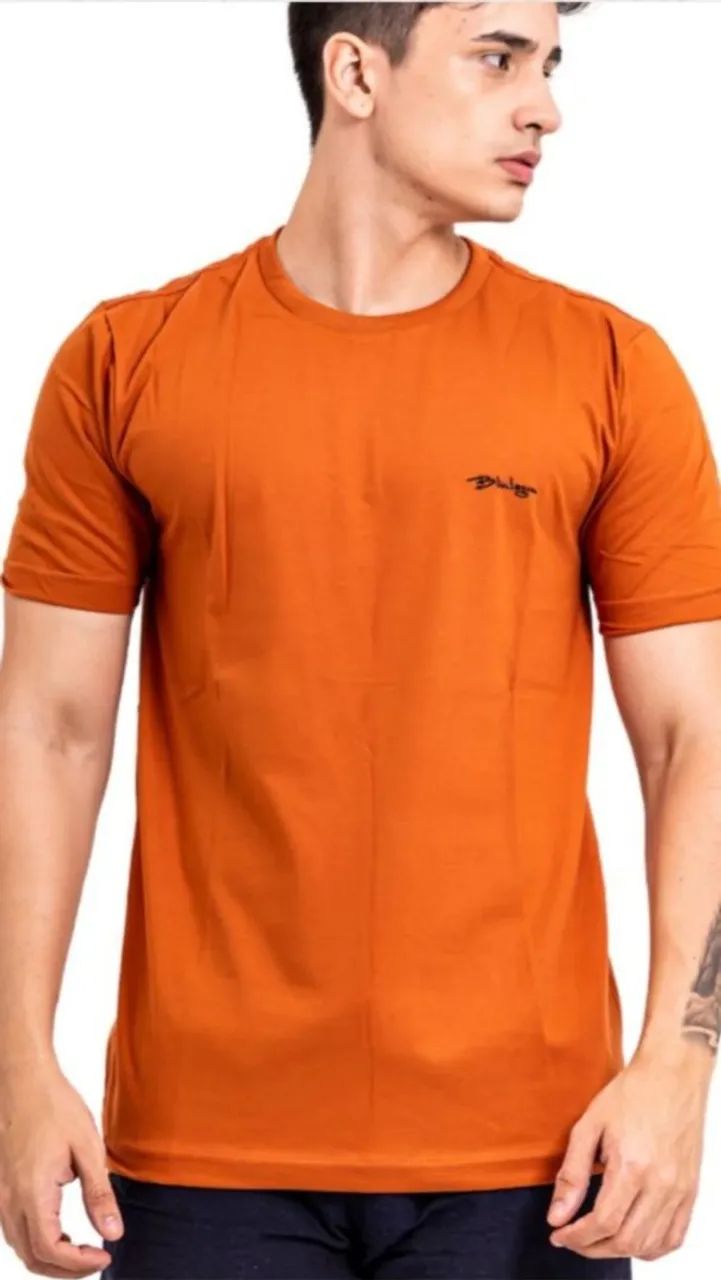 Camisas 100 % algodao. Promocao: 3 por R$100,00