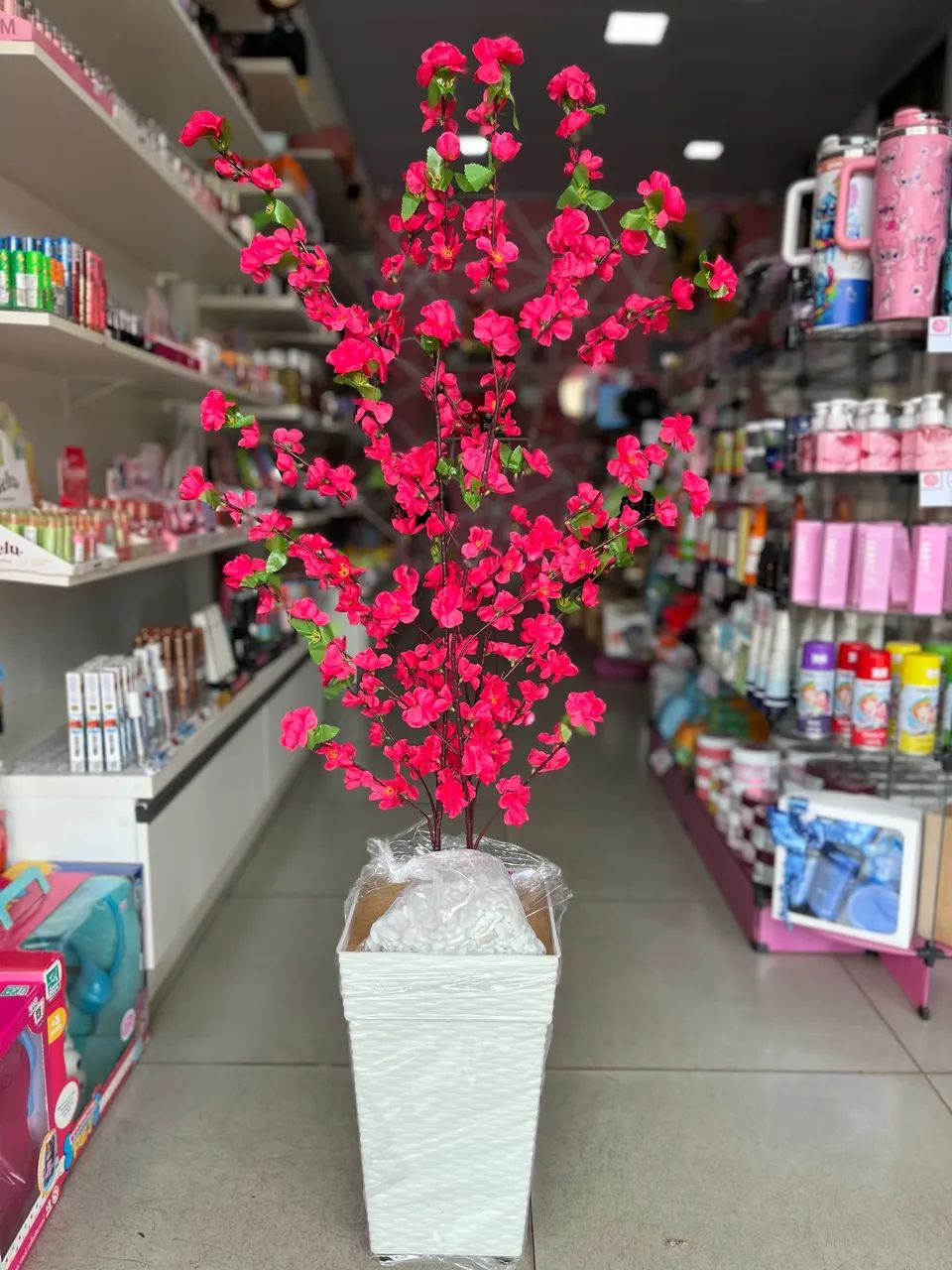 Planta cerejeira decorativa 