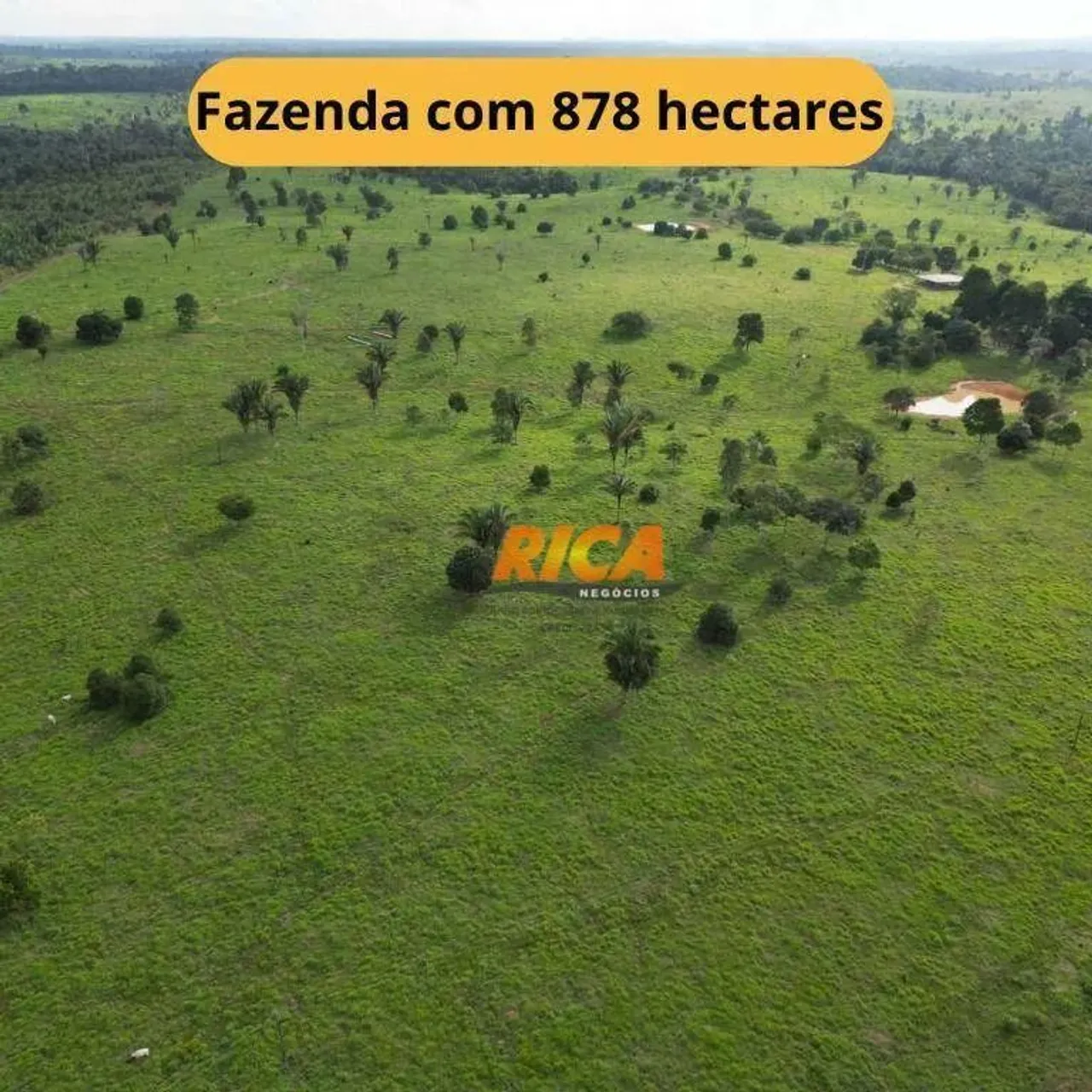 Fazenda à venda, 8780000 m² por R$ 29.000.000,00 - Zona Rural - Machadinho D'Oeste/RO