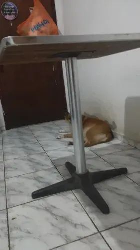 Kitchen Table 70x70 with64842835581441121