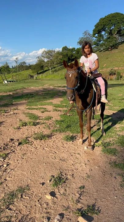 EGUINHA LUXO (barato no Pix) - Foto 4