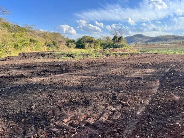 Área de lavoura em Bonito Ms - Foto 5