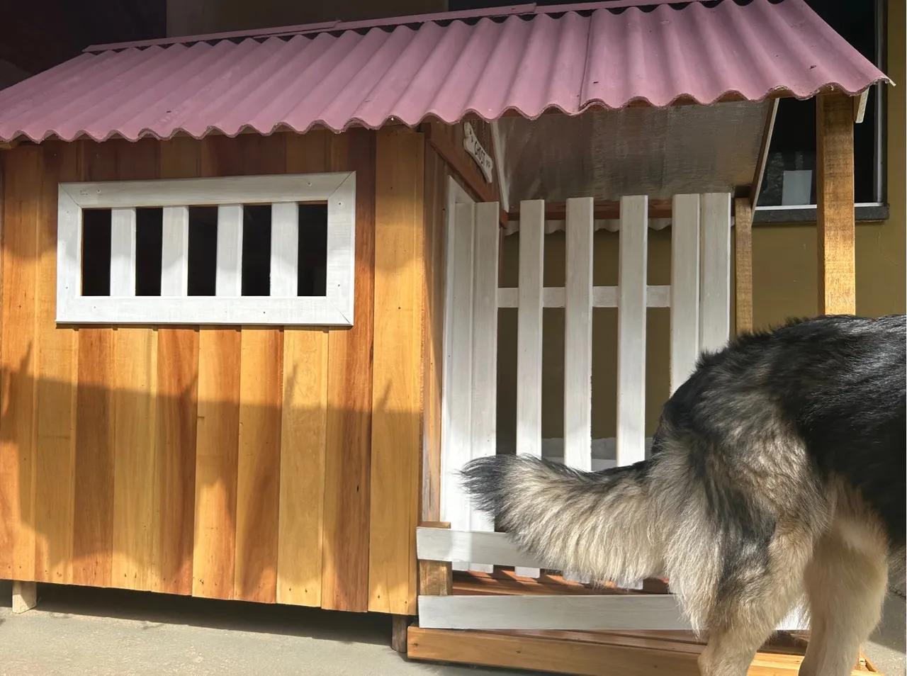 CASA PARA CACHORRO