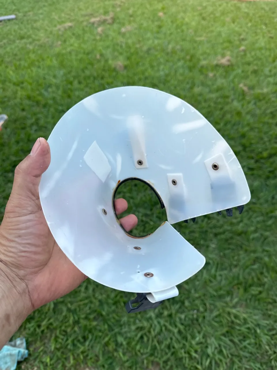 Colete Protetor para Gatos