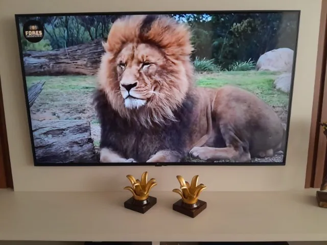 TV Smart