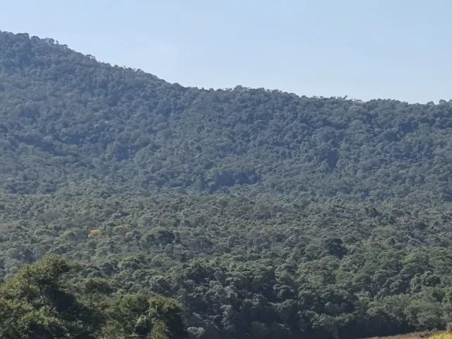 Foto - Belo Horizonte - São Lucas
