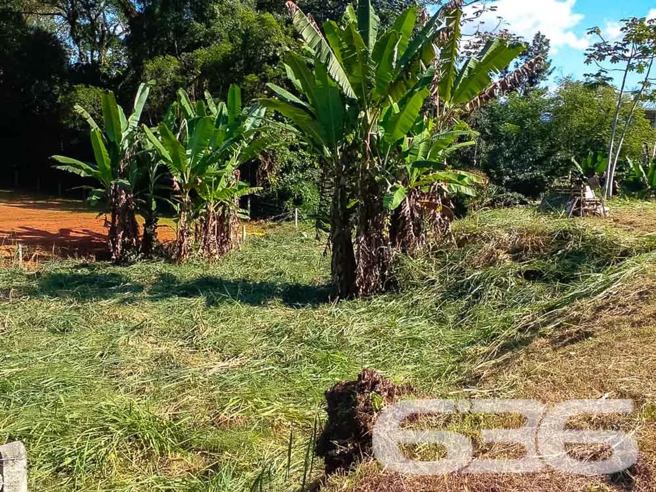 Terreno | Joinville | Pirabeiraba - Foto 3