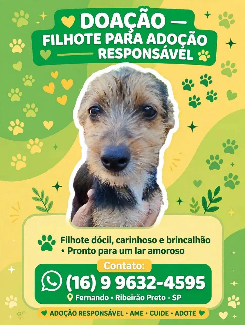 Doação 