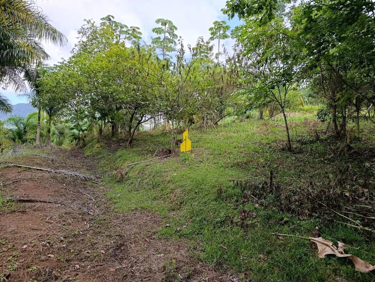 TERRENO NA CIDADE DE RIO DOS CEDROS/SC - Foto 3