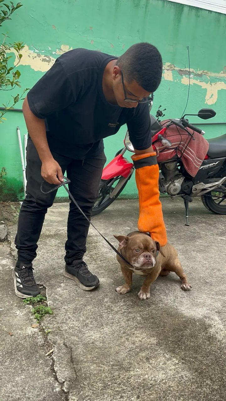 Adestrador de cães  - Foto 2
