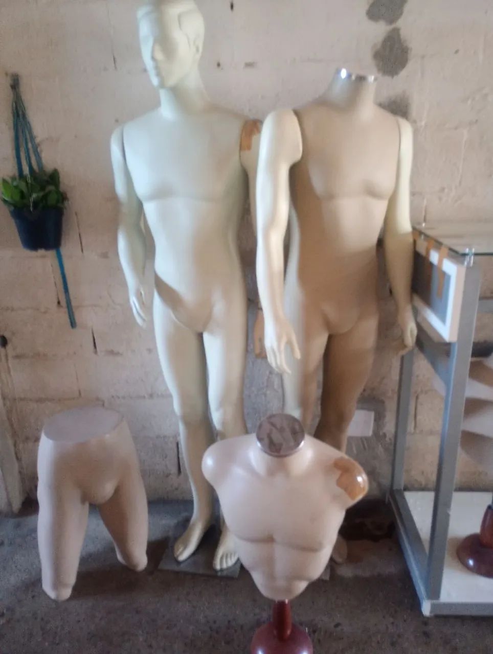 Maniquins masculino 