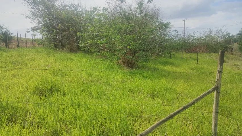 Morro Alto - terreno - Foto 2