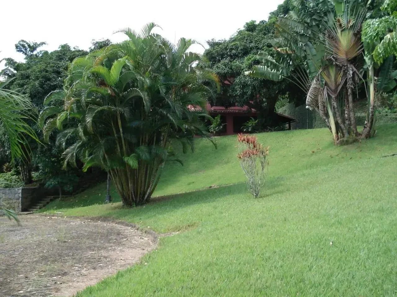 Sítio para venda tem 65000 metros quadrados em Vargem Grande - Rio de Janeiro - RJ - Foto 9