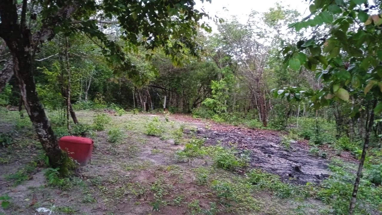 Terreno em Morros Próx Rio Unas - Foto 4