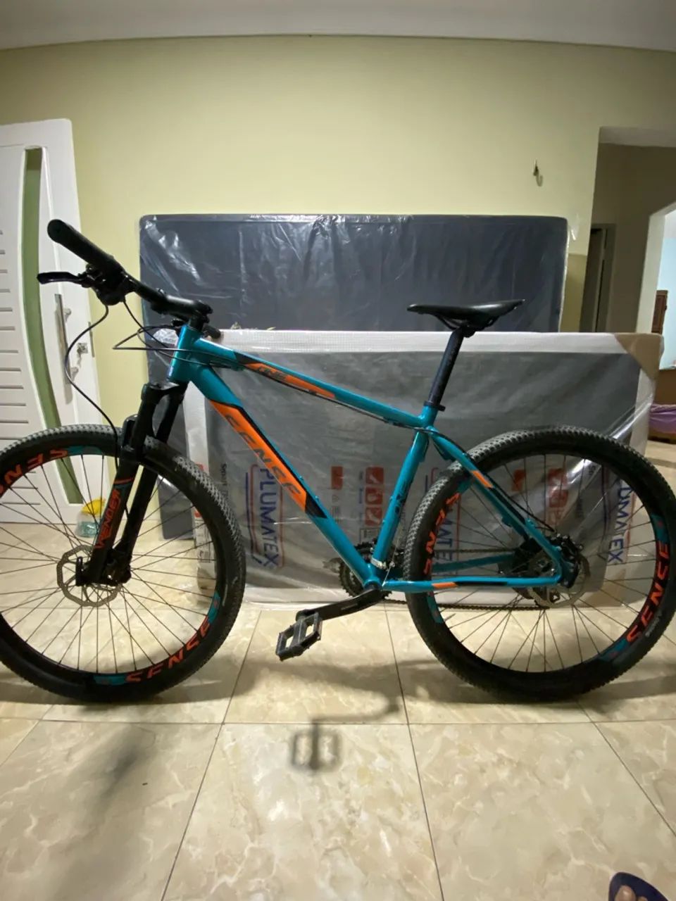 Bicicleta 
