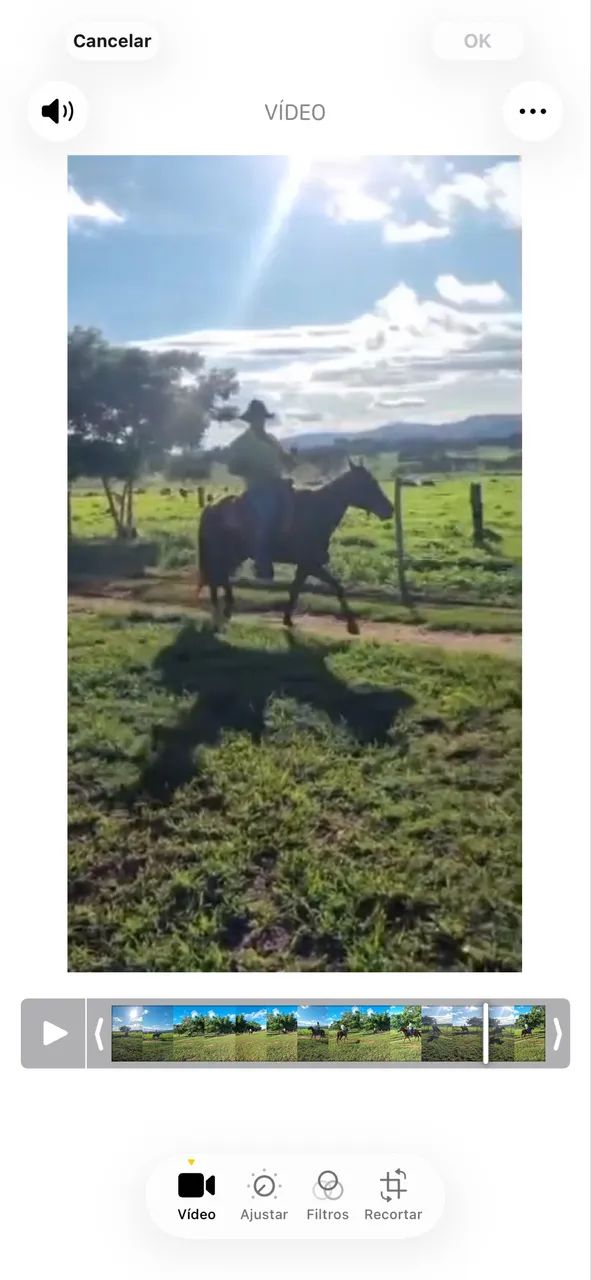 ÉGUA MACHADEIRA VENDA - Foto 2