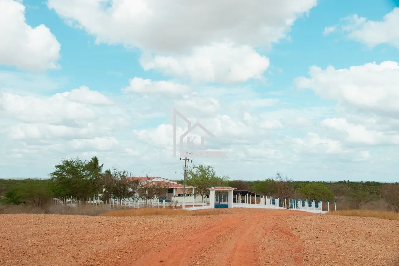 Fazenda de 120 Hectares com Abundância de Água - Oportunidade para Investimento ou Lazer - Foto 7