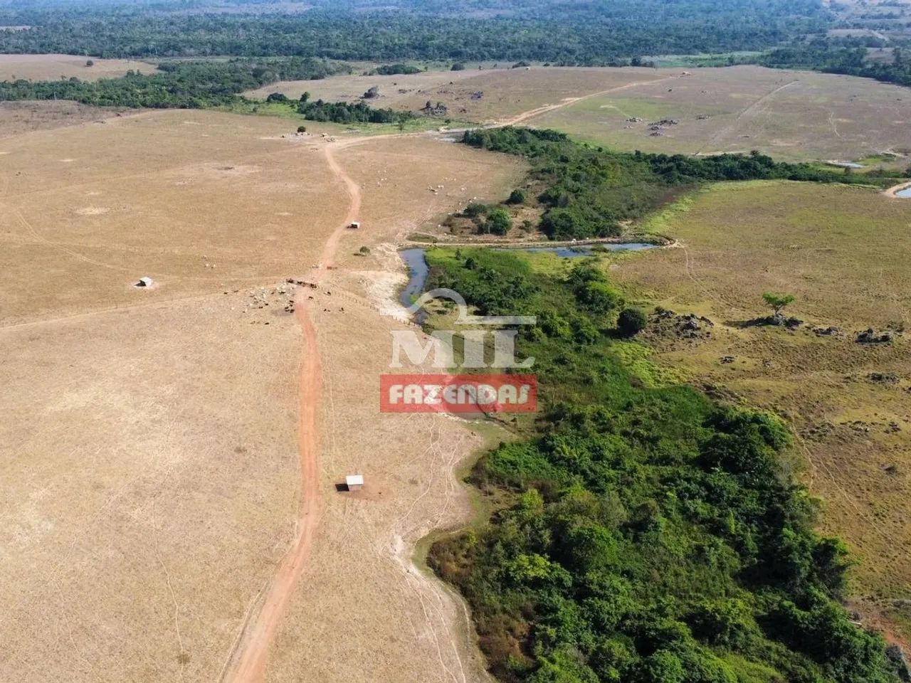 Fazenda em Colíder-MT. (214 Hectares) - Foto 5