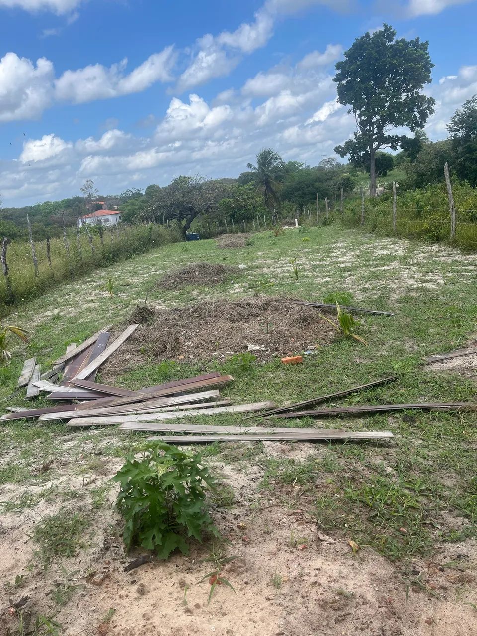 Venda - Foto 2