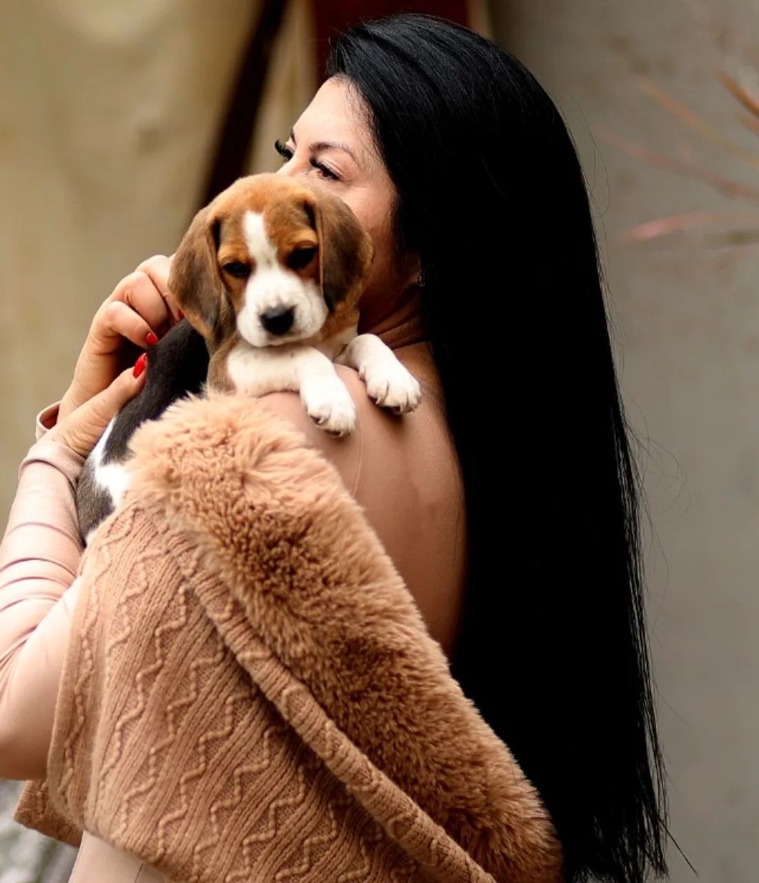 BEAGLE LINDO